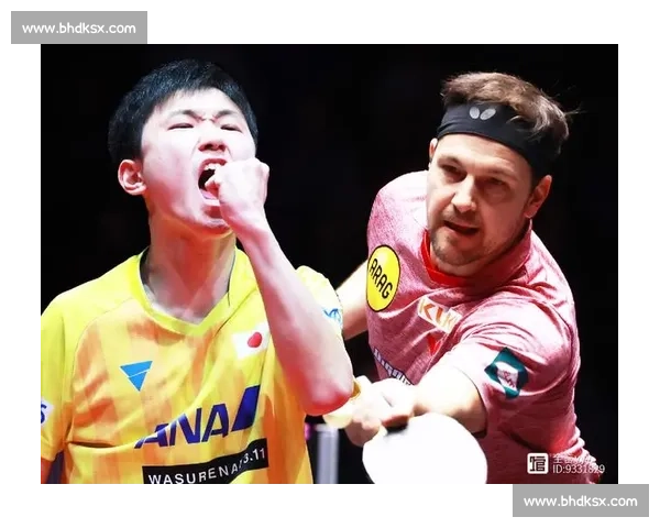 老将波尔对决新生代张本智和的速度与智慧之战巅峰舞台乒坛焦点碰撞