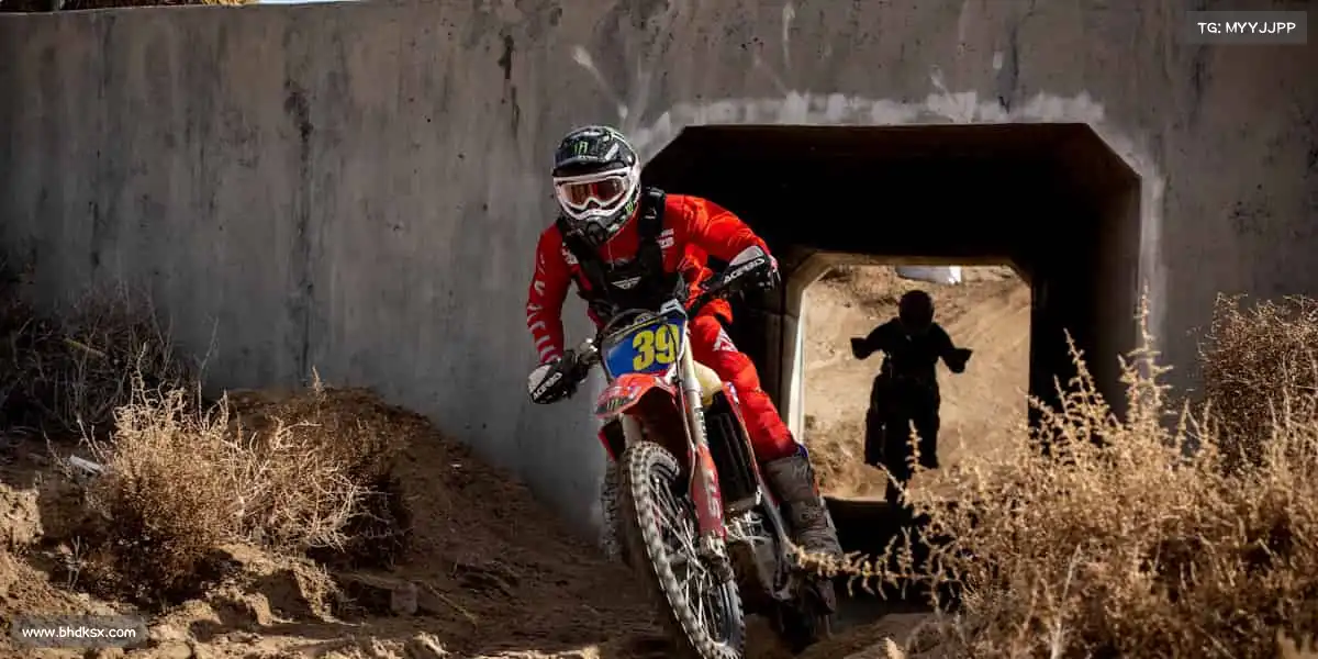 我们的品牌价值